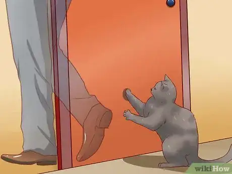 Imagen titulada Discipline Cats Step 12