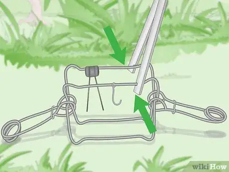 Imagen titulada Set a Conibear Trap Step 8