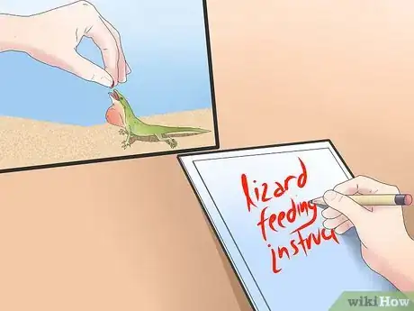 Imagen titulada Feed a Lizard Step 3