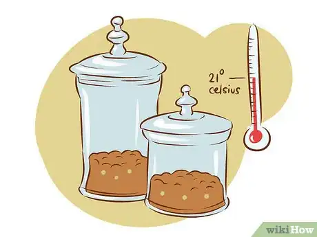 Imagen titulada Grow Edible Mushrooms Step 10