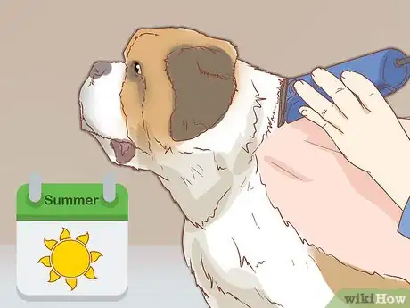 Imagen titulada Treat Heat Stroke in Dogs Step 13