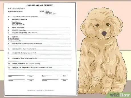 Imagen titulada Choose a Poodle for Breeding Step 2