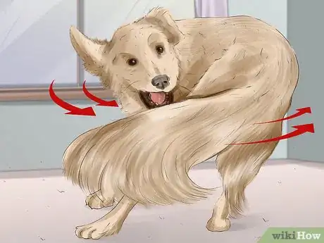 Imagen titulada Diagnose Canine Ear Infections Step 6