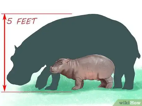 Imagen titulada Deal With a Hippo Encounter Step 12