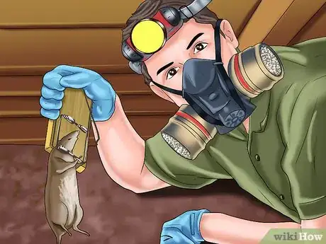 Imagen titulada Deal With a Snake in the House Step 12