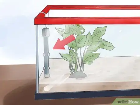 Imagen titulada Make a Turtle Environment Step 8
