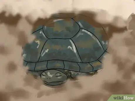 Imagen titulada Care for Your Box Turtle Step 13