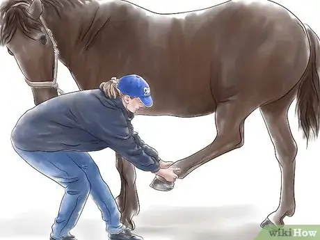 Imagen titulada Stretch a Horse Step 13