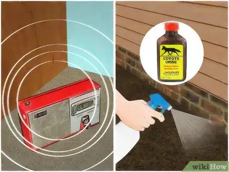 Imagen titulada Get Rid of a Squirrel in Your House Step 15