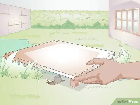 Imagen titulada Catch Snails Step 3