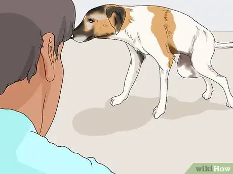 Imagen titulada Spot Signs of Muscle Loss in Dogs Step 6