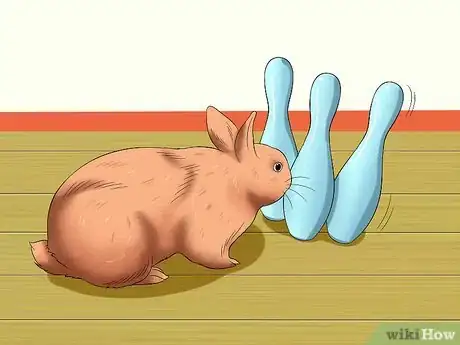 Imagen titulada Train a Rabbit to Stop Chewing Carpet Step 13