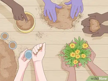 Imagen titulada Start a Plant Nursery Business Step 4