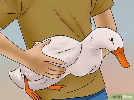 Imagen titulada Catch a Duck Step 15