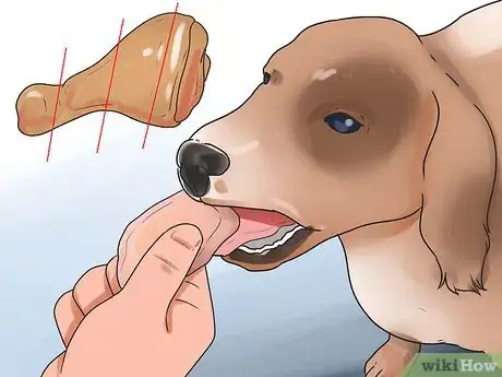Imagen titulada Treat Dog Diarrhea Step 5