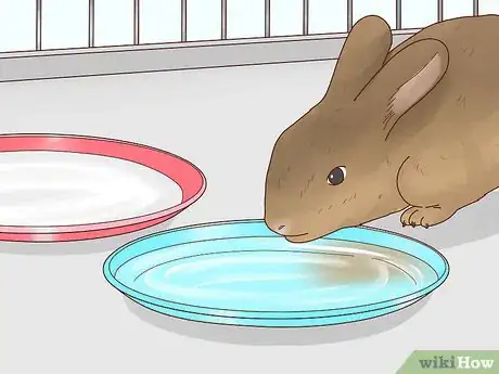 Imagen titulada Care for a Baby Wild Rabbit Step 15