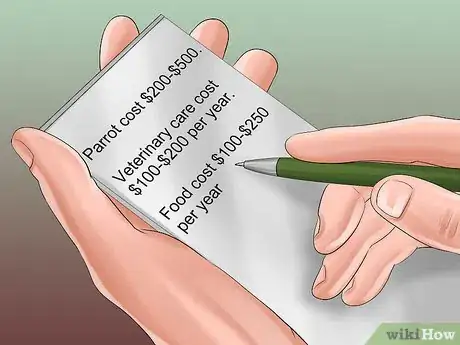 Imagen titulada Know if a Senegal Parrot Is Right for You Step 8