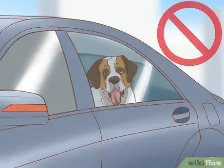 Imagen titulada Treat Heat Stroke in Dogs Step 12