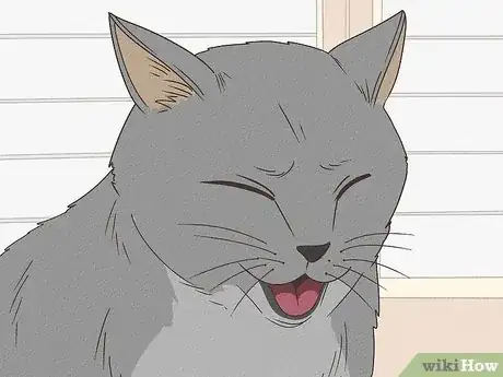 Imagen titulada Tell if a Cat Has a Sore Throat Step 3