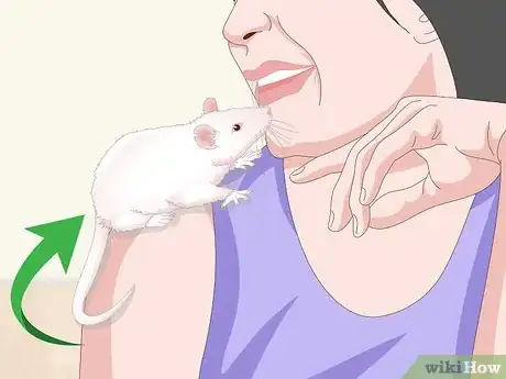 Imagen titulada Handle a Pet Rat Step 9