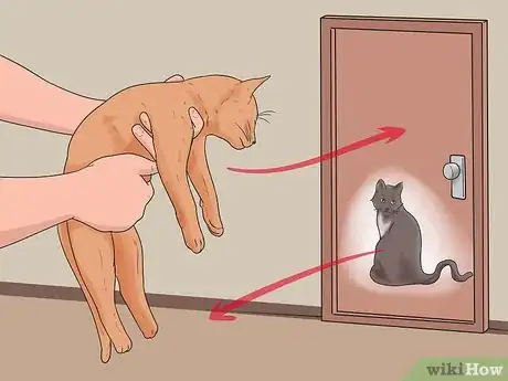 Imagen titulada Bring a Second Cat Into the Family and Not Make Your Old Cat Upset Step 9