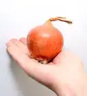 encurtir cebollas