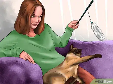 Imagen titulada Stop Your Cat from Eating Plastic Bags Step 5
