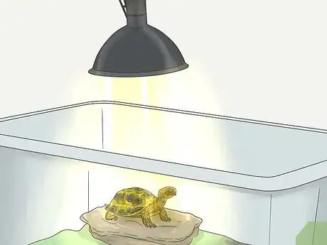 Imagen titulada Make A Habitat for Hermann’s Tortoises Step 8
