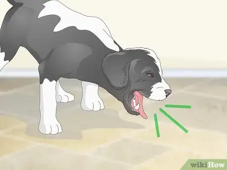 Imagen titulada Measure a Dog's Temperature Step 17