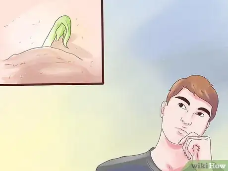 Imagen titulada Grow Pinto Beans Step 1