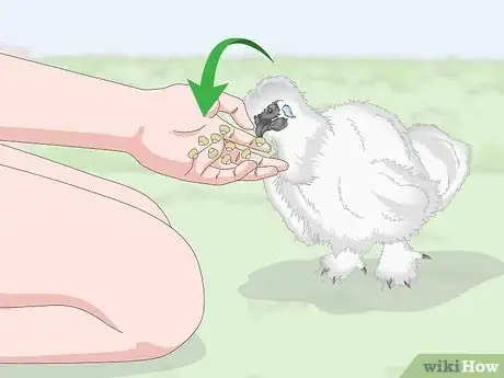 Imagen titulada Pet a Chicken Step 8