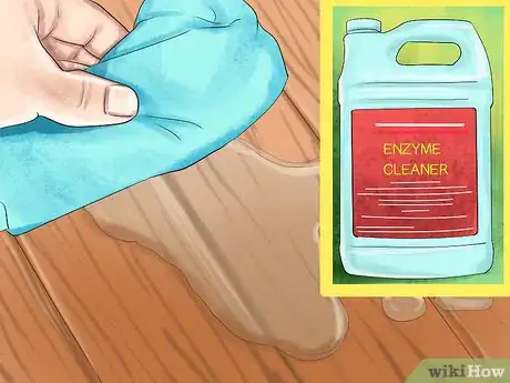 Imagen titulada Retrain a Cat to Use the Litter Box Step 6