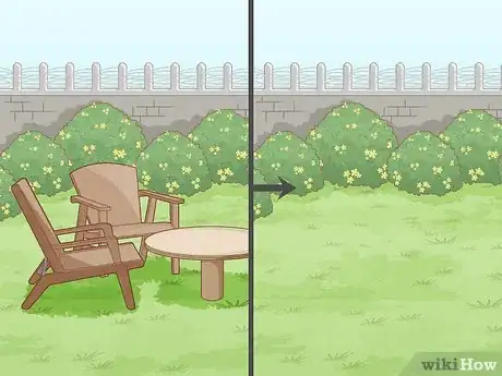 Imagen titulada Remove a Palm Tree Step 3