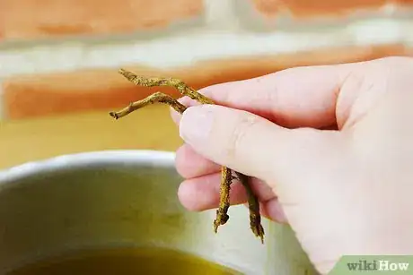 Imagen titulada Make Sassafras Tea Step 10