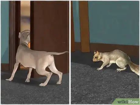 Imagen titulada Get Rid of a Squirrel in Your House Step 2