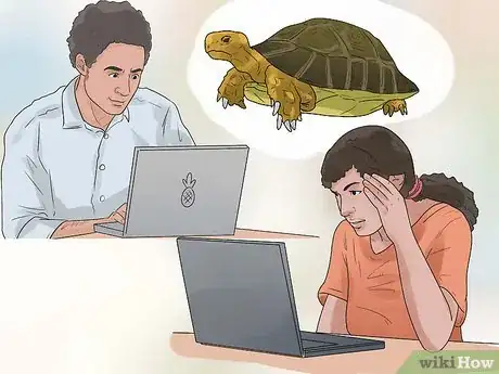 Imagen titulada Take Care of a Land Turtle Step 3