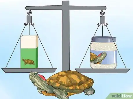 Imagen titulada Know What to Feed a Turtle Step 4