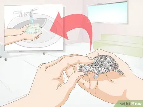 Imagen titulada Keep a Turtle Healthy Step 12