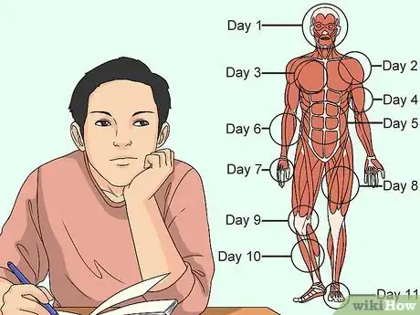 Imagen titulada Study Muscle Anatomy Step 4