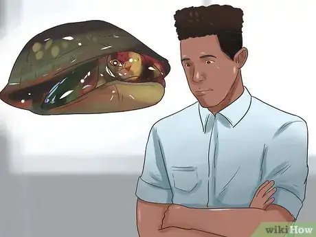 Imagen titulada Pet a Turtle Step 10