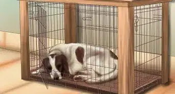 hacer que tu perro se duerma