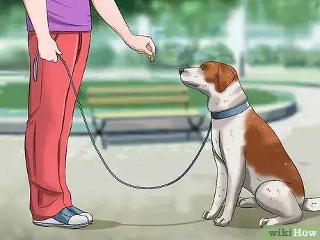Imagen titulada Teach Your Dog to Speak Step 9