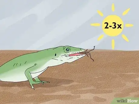 Imagen titulada Feed an Anole Green Lizard Step 7
