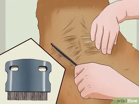 Imagen titulada Kill Fleas on Dogs Step 9