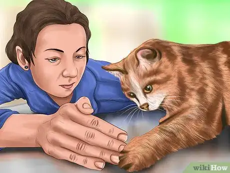 Imagen titulada Reprimand a Pet Step 7