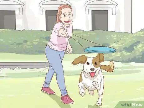 Imagen titulada Stop a Dog from Digging Step 2