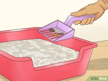 Imagen titulada Stop Your Cat from Peeing on Your Bed Step 4