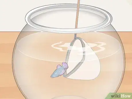Imagen titulada Clean a Betta Fish Bowl Step 12