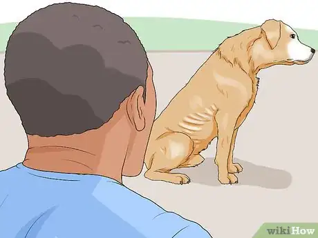 Imagen titulada Spot Signs of Muscle Loss in Dogs Step 4