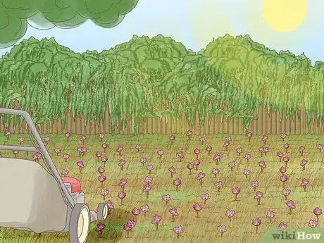 Imagen titulada Plant Bulbs in Grass Step 22
